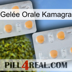 Gelée Orale Kamagra 25